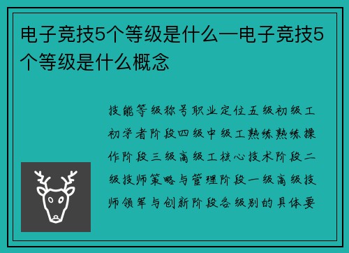 电子竞技5个等级是什么—电子竞技5个等级是什么概念