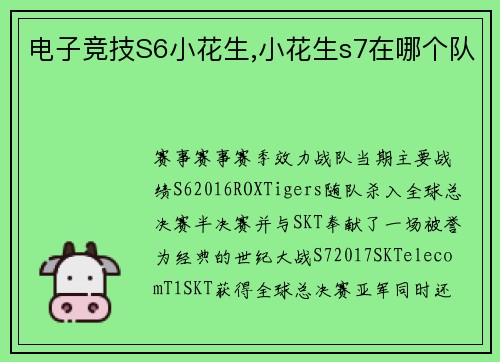 电子竞技S6小花生,小花生s7在哪个队